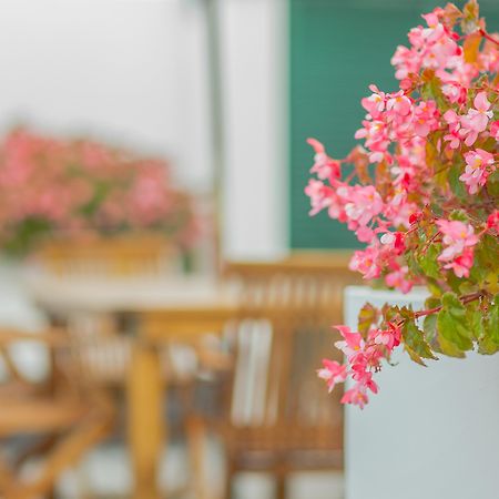 Ponta Delgada Comercial Boutique Guest House מראה חיצוני תמונה