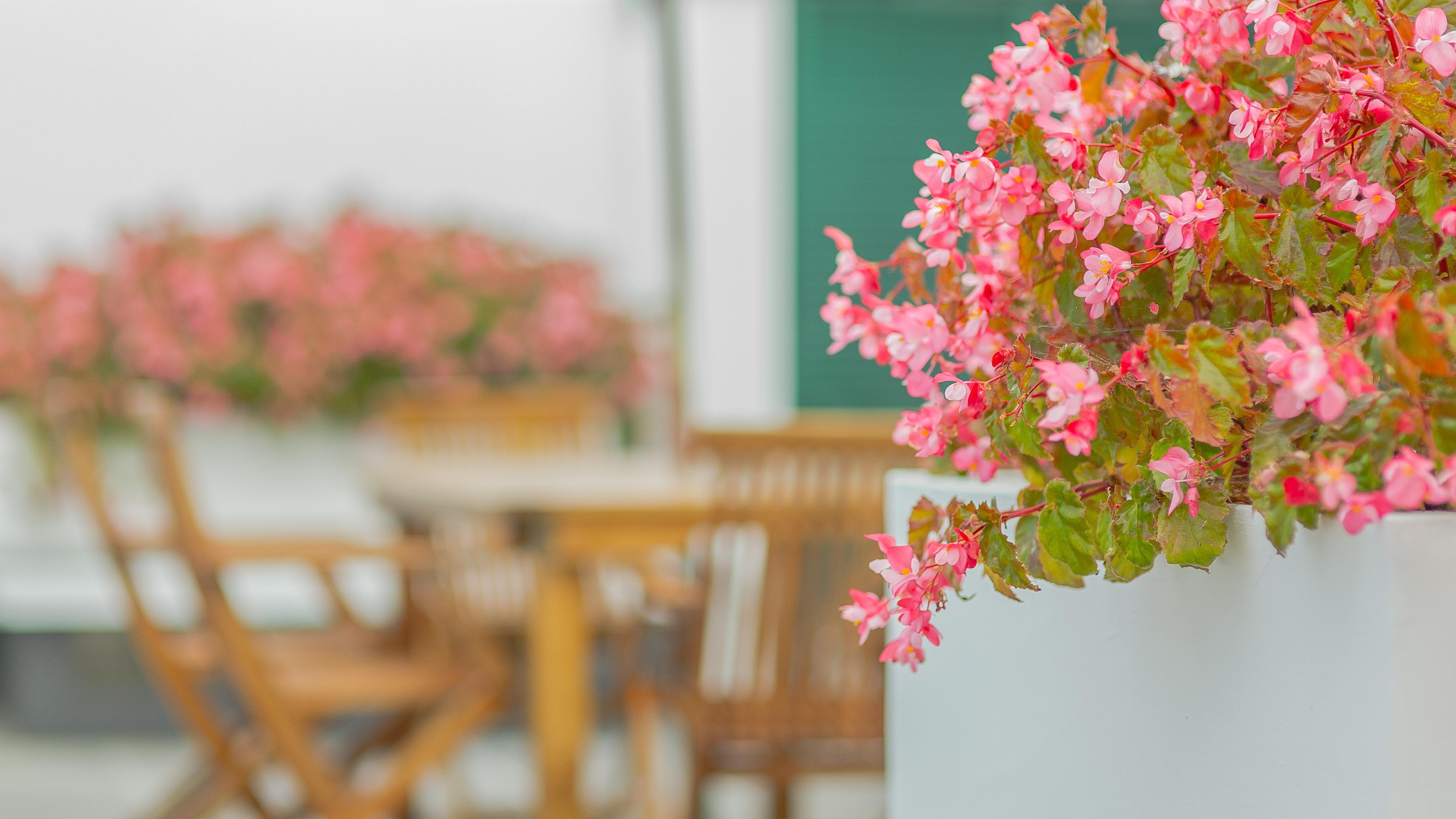 Ponta Delgada Comercial Boutique Guest House מראה חיצוני תמונה
